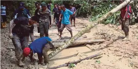  ??  ?? Orang Asli villagers and teachers working together to clear the Pos Betau to Pos Lenjang road.
