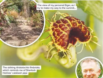  ??  ?? The view of my personal Eiger, as I try to make my way to the summit… The striking Aristoloch­ia fimbriata, which reminds me of Sherlock Holmes’ calabash pipe