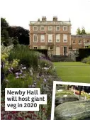  ??  ?? Newby Hall will host giant veg in 2020