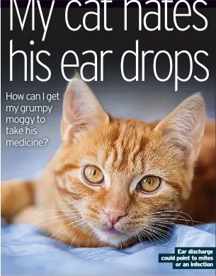  ?? ?? Ear discharge could point to mites or an infection