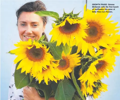  ??  ?? GROWTH PHASE: Simone McKenzie with the first bunch of sunflowers she grew at Bella Flora Cut Flowers.