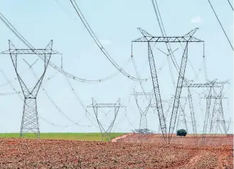  ?? J.F.DIORIO/ESTADÃO - 31/10/2014 ?? Gatos. Eletrobrás diz que repasse por furto de energia na conta de luz é de apenas 0,18%