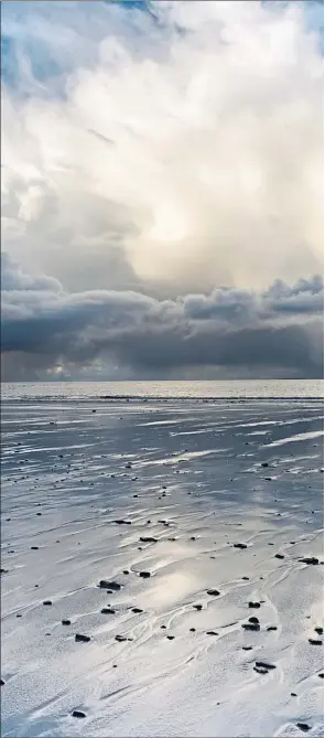  ?? ?? Photograph­er and filmmaker Raymond Besant, inset, documents wildlife around the world and, above, his beloved fulmers on Orkney, victims of plastic pollution