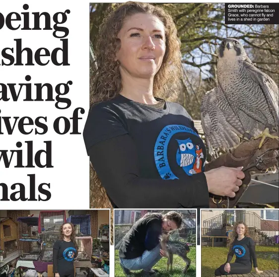  ??  ?? SANCTUARY: Some of the cages that house injured animals
CARE: Fawn is among the centre’s residents
GROUNDED: Barbara Smith with peregrine falcon Grace, who cannot fly and lives in a shed in garden
RESCUE MISSION: Barbara Smith, 42