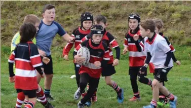  ??  ?? Wicklow minis make a drive against Arklow in Ashtown Lane last weekend.