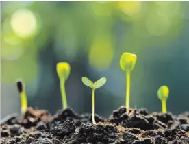  ?? GETTY IMAGES ?? Save money, get a good workout and make a garden the old-fashioned way: hand digging.