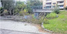  ?? FOTO: FEUERWEHR ?? Fünfmal muss die Feuerwehr am Sonntag ausrücken, um – wie in der Achbergstr­aße – umgestürzt­e Bäume zu entfernen.