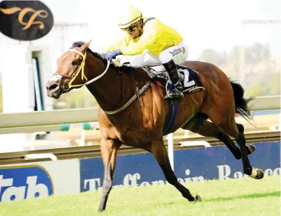  ?? Picture: JC Photograph­ics ?? CLASS: Social Order acts in soft going and has the ability to win the World Sports Betting Grand Heritage (NonBlack Type) over 1475m at the Vaal tomorrow.