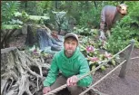  ?? MICHAEL SEARS / MILWAUKEE JOURNAL SENTINEL ?? The plants that go with the exhibit fell to Noah Huber, horicultur­al supervisor at the Milwaukee County Zoo. Huber is shown with an iguanodon, an old stump and bromeliads he choose to plant with their pink flowers to add to the tropical effect.