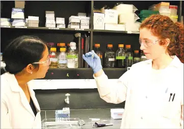  ?? — Purdue University photo by Erin Easterling ?? Associate professor Julie Liu, at left, and doctoral student Sydney Hollingshe­ad, prepare to test a new protein-based adhesive underwater.