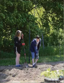  ?? H John Voorhees III / Hearst Connecticu­t Media ?? Cece Berger, Executive & Founding Director of Cornerston­e Garden at McKeon’s Farm, works with her son Kevin Berger planting vegetables at the garden. Cornerston­e Garden provides an educationa­l gardening experience for individual­s with intellectu­al disabiliti­es on Wednesday in Ridgefield. Below, Cece Berger works with Ridgefield High School senior intern Rodrigo Picozzi planting vegetables.