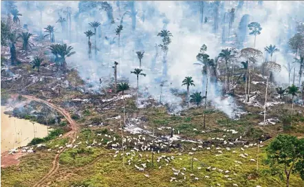  ?? — Filepic ?? Smoke rising from man-made forest fires set to clear land for cattle or crops in the Amazon area of Brazil.