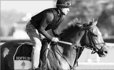  ?? BARBARA D. LIVINGSTON ?? Hofburg’s last start was in the Belmont Stakes, where he finished third and got a 97 Beyer.