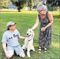  ?? Sarah Page Kyrcz / For Hearst Connecticu­t Media ?? Dan Montuori with Stella and a fan, Debbie Longyear, walking her Shih Tzu, Acacia, on the Madison green.