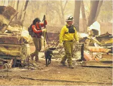  ?? HECTOR AMEZCUA/ THE SACRAMENTO BEE ?? Butte County Search and Rescue worker Noelle Francis, left, and search dog Spinner look through the ashes for survivors and remains Monday after a wildfire ravaged Paradise, Calif.