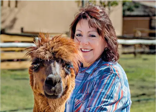 ??  ?? Jenny Shone and Patricia the alpaca, who was once invited as a guest speaker to one of Jenny’s workshops.