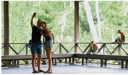  ?? — Bernama ?? Sight to behold: Foreign tourists taking selfies with the monkeys at the Labuk Bay Proboscis Monkey Sanctuary in Sandakan.