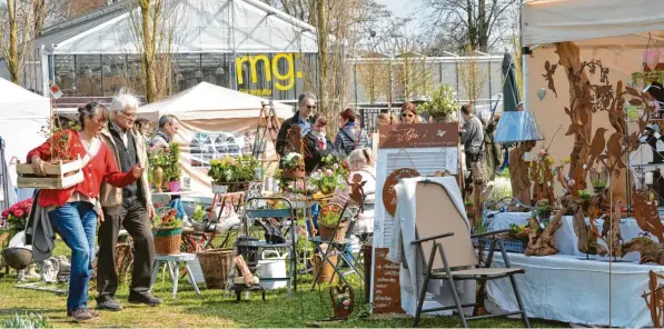  ?? Foto: Regina Langhans ?? Am Samstag finden der Öko- und Regiomarkt sowie „Kraut und Krempel“in Illertisse­n statt. Gartenfans kommen auf ihre Kosten.