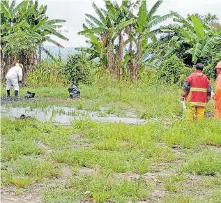  ?? BERNABÉ VALLEJO OLVERA COLABORADO­R ?? PAPANTLA, Ver.- Familias utilizan el agua del arroyo para consumo y riego.