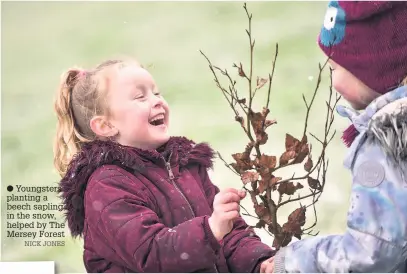  ?? NICK JONES ?? Youngsters planting a beech sapling in the snow, helped by The Mersey Forest