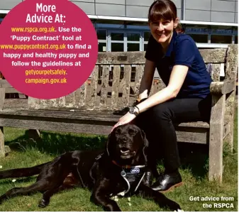  ??  ?? Use the ‘Puppy Contract’ tool at
to find a happy and healthy puppy and
follow the guidelines at
Get advice from
the RSPCA