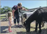  ??  ?? Leah Kline, 2, and her mother Jamie, of Wernersvil­le brush miniature horses Lilo and Mouser. At the Holy Spirit Farm and Horse Sanctuary for their Day at the Farm event with young women from the Youth Volunteer Corps.