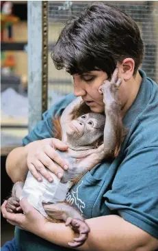  ?? FOTO: CHRISTOPH REICHWEIN ?? Eva Ravagni kümmert sich seit rund zwei Monaten um Hujan, ist aber auch froh, wenn sie das Jungtier wieder abgeben kann.