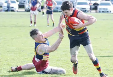 Crows see off challenge - PressReader