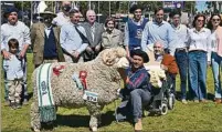  ??  ?? PISTA.
Juan M. González fue el encargado del jurar los Merino