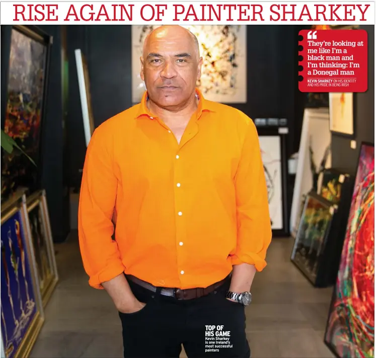  ?? ?? TOP OF HIS GAME Kevin Sharkey is one Ireland’s most successful painters