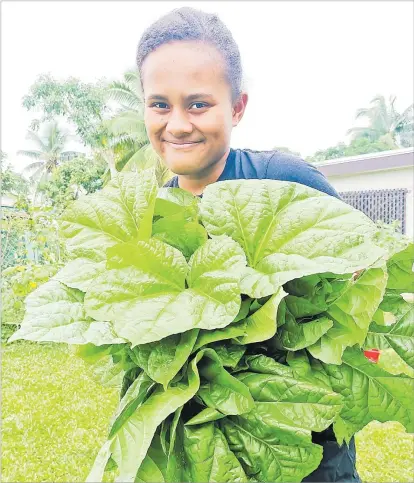  ?? Picture: ADRA ?? Grace Bolatagici harvests vegetables from their home garden. Healthy eating includes a variety of fruit and vegetables.