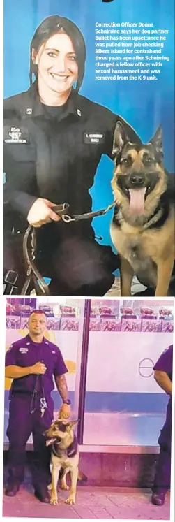  ??  ?? Correction Officer Donna Schnirring says her dog partner Bullet has been upset since he was pulled from job checking Rikers Island for contraband three years ago after Schnirring charged a fellow officer with sexual harassment and was removed from the K-9 unit.