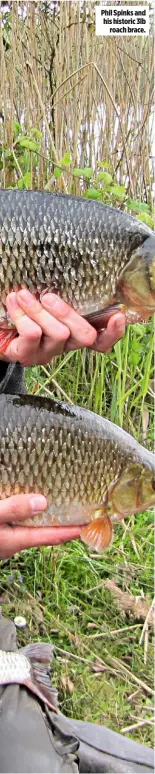  ??  ?? Phil Spinks and his historic 3lb roach brace.