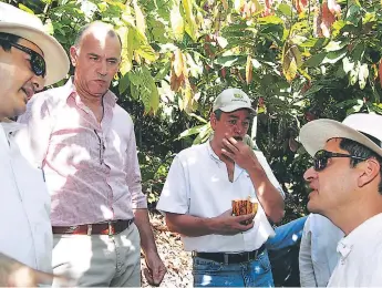  ??  ?? RECORRIDO. Cooperante­s hicieron una visita de campo a una plantación de cacao en El Paraíso.