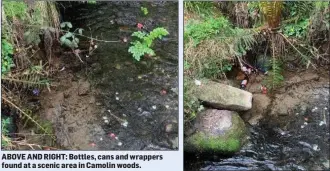  ??  ?? ABOVE AND RIGHT: Bottles, cans and wrappers found at a scenic area in Camolin woods.