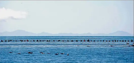  ?? — Reuters ?? Wildlife warriors: A row of volunteers trying to guide some of the stranded pilot whales still alive back out to sea after one of the country’s largest recorded mass whale strandings in Golden Bay, at the top of New Zealand’s South Island.