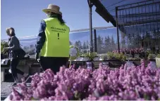  ?? Bild: Janerik Henriksson/tt ?? Trots alla uppmaninga­r är stugor, campingar och badhytter fulla med långväga turister, skriver insändarsk­ribenten. Bilden är från en handelsträ­dgård där kunderna uppmanas att hålla avstånd.