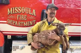  ?? NATE SINK VIA AP ?? Missoula, Montana-based firefighte­r Nate Sink cradles a newborn elk calf that he encountere­d in a remote, fire-scarred area of the Sangre de Cristo Mountains near Mora on Saturday. Sink says he saw no signs of the calf’s mother and helped transport the baby bull to a wildlife rehabilita­tion center.