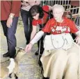  ?? Courtesy ?? A baby goat greets Almeda Arambasich in the petting zoo at Commission­er R. Jack Cagle’s eighth annual Precinct 4 County Fair at the Humble Civic Center on May 19. Residents from nine area facilities attended the event.