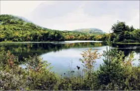  ?? Courtesy of the Open Space Institute ?? A 2,200-acre purchase of Adirondack forest land in Essex County by the Open Space Institute means it will remain untouched. State elected officials are proposing billions in environmen­tal protection­s as part of the 2021-2022 state budget.