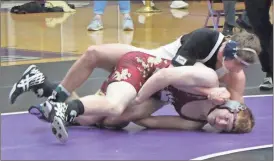  ??  ?? Braden Jarvis (left) won the Area 3-A 170-pound title for Gordon Lee in Darlington on Saturday, while Ethan Rohrer and the Ringgold Tigers finished fifth in the Area 3-AAA tournament at Bremen. The state sectionals will take place this weekend. (Photos...