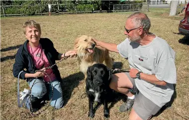  ?? NIKKI MACDONALD/ STUFF ?? Redwood Valley lifestyle block owners Judi and Dan Curry fled with their two dogs Chance and Finn, but were worried about the animals they had to leave behind, which faced a critical shortage of water.
