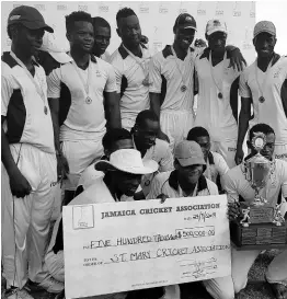  ?? CONTRIBUTE­D ?? St Mary celebrate with their trophy and winners cheque of $500,000 for victory over St Ann in the final of the Jamaica Cricket Associatio­n Limited Overs Competitio­n at Chedwin Park, St Catherine, yesterday.