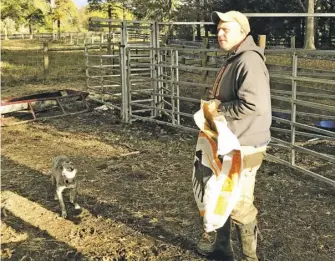  ?? BY JOHN MCCASLIN ?? Michael Webert and Star, his Hangin’ Tree Cowdog, prepare to corral some cows at the delegate’s Fauquier County farm.