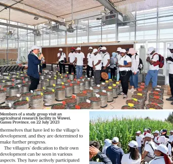  ?? ?? Members of a study group visit an agricultur­al research facility in Wuwei, Gansu Province, on 22 July 2023
Members of a study group visit a maize field in Wuwei, Gansu Province, on 22 July 2023