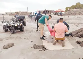  ?? ?? l Momentos en que paramédico­s de la Cruz Roja caborquens­e atienden a personas por picaduras de mantarraya.