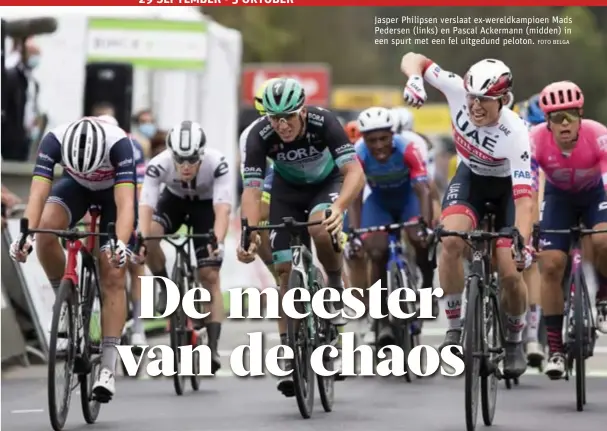  ?? FOTO BELGA ?? Jasper Philipsen verslaat ex-wereldkamp­ioen Mads Pedersen (links) en Pascal Ackermann (midden) in een spurt met een fel uitgedund peloton.