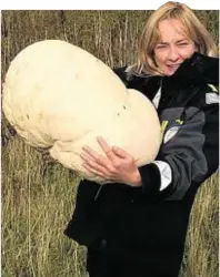  ??  ?? Countrysid­e ranger Fiona Wishart with the puffball