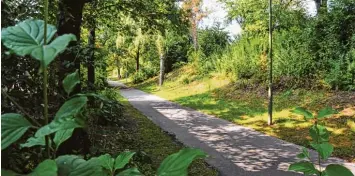  ?? Foto: Andreas Lode ?? Auf diesem Rad und Fußweg zwischen Bahndamm und Piechlerst­raße wurde ein Mädchen vergewalti­gt.