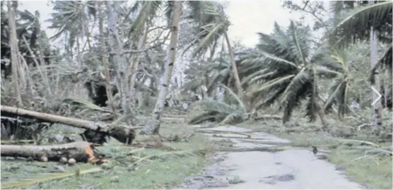  ?? Picture: SUPPLIED ?? Smashed coconut trees and telephone lines in the path of Hurricane Bebe in 1972.
